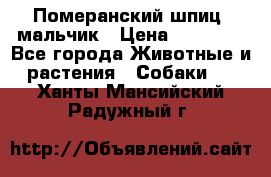 Померанский шпиц, мальчик › Цена ­ 35 000 - Все города Животные и растения » Собаки   . Ханты-Мансийский,Радужный г.